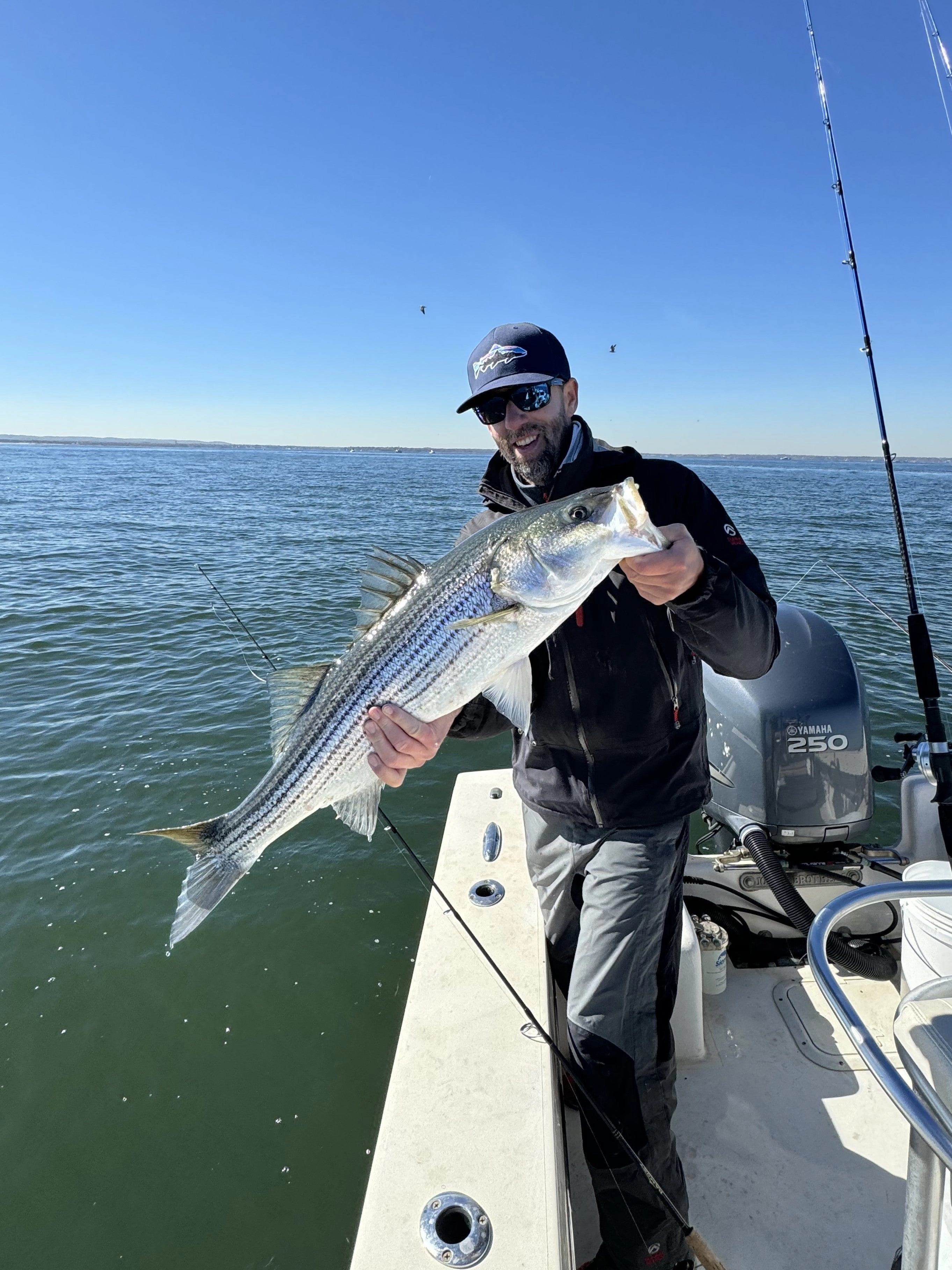 7' Medium Saltwater Spinning Rod - (RRCSPSII-701M)