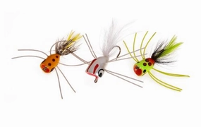 Assorted Bass Popper 3pc.