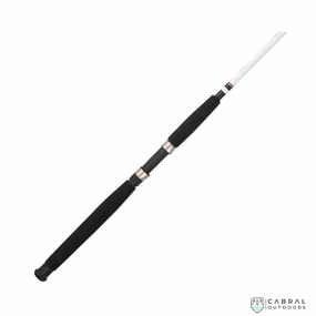 Berkley Big Game 7ft-8ft Spinning Rod