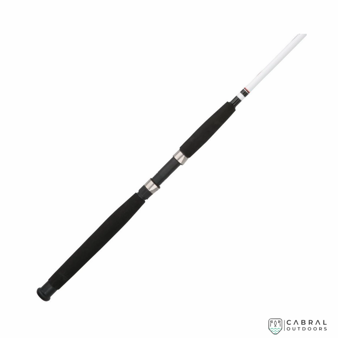 Berkley Big Game 7ft-8ft Spinning Rod