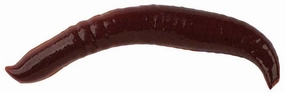 Berkley Gulp! Pinched Crawler
