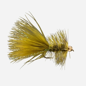BH Woolly Bugger - (#06)
