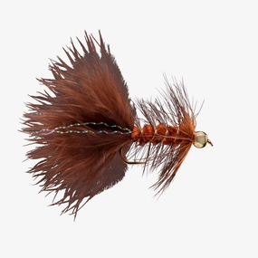 BH Woolly Bugger - (#08)