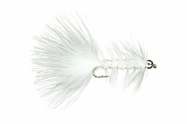 BH Woolly Bugger - (#08)