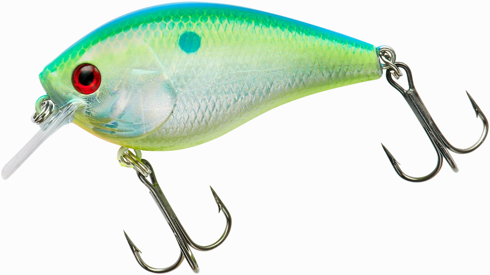 Booyah XCS Series Shallow Squarebill Crankbait