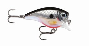BX Brat - (2")