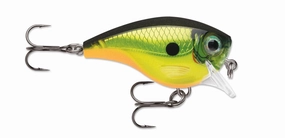 BX Brat - (2")