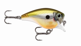 BX Brat - (2")