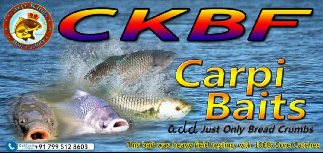 Carp Kings Bait Factory Feeder Bait Powder 1 Kg pack