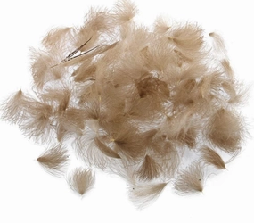 CDC Puffs