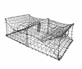 Collapsible Crab / Fish / Crawdad Trap