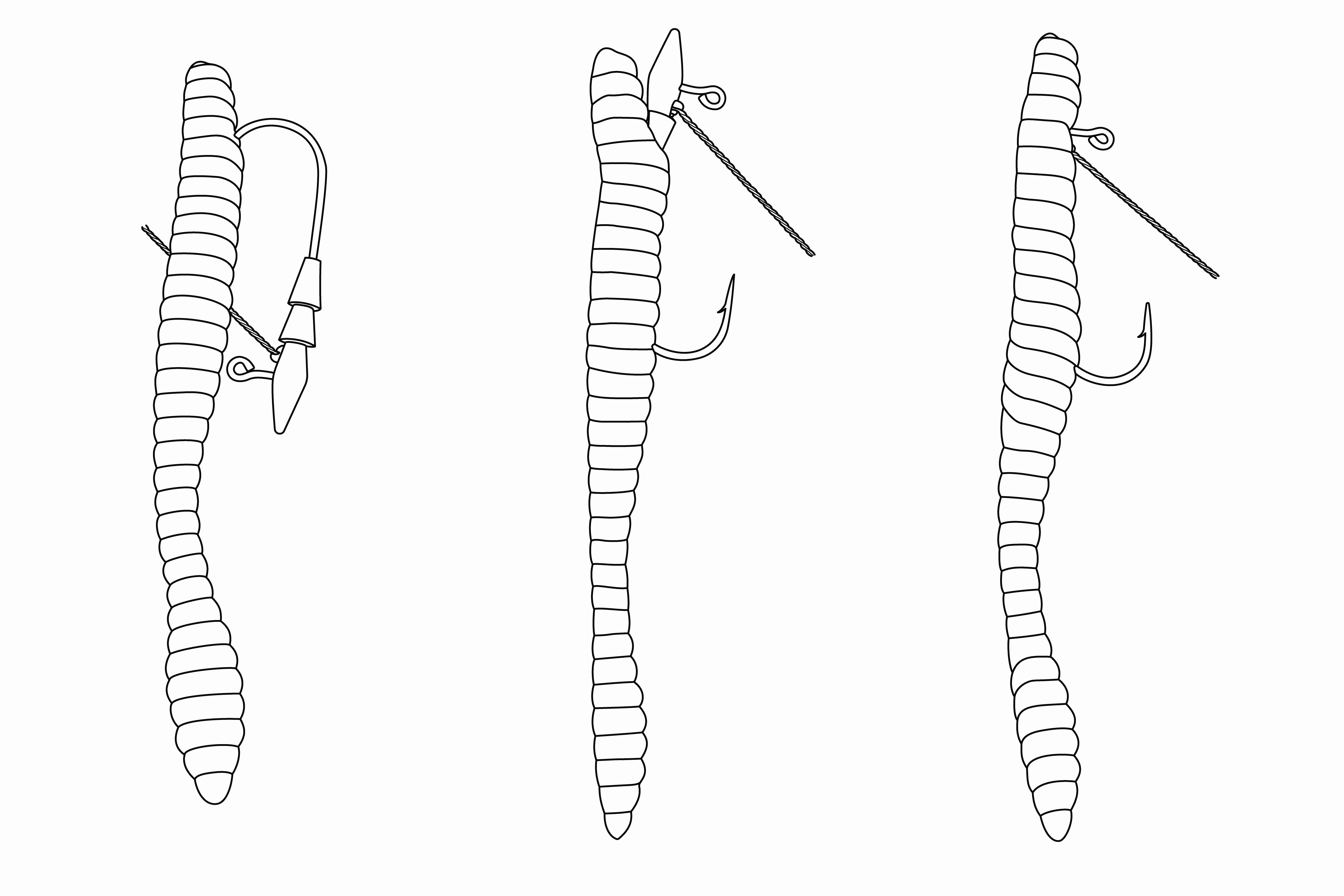 Core Tackle The Hover Rig Weedless - 3 pack