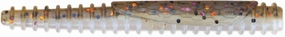 CrushCity Ned BLT Soft Bait - (3 inch)