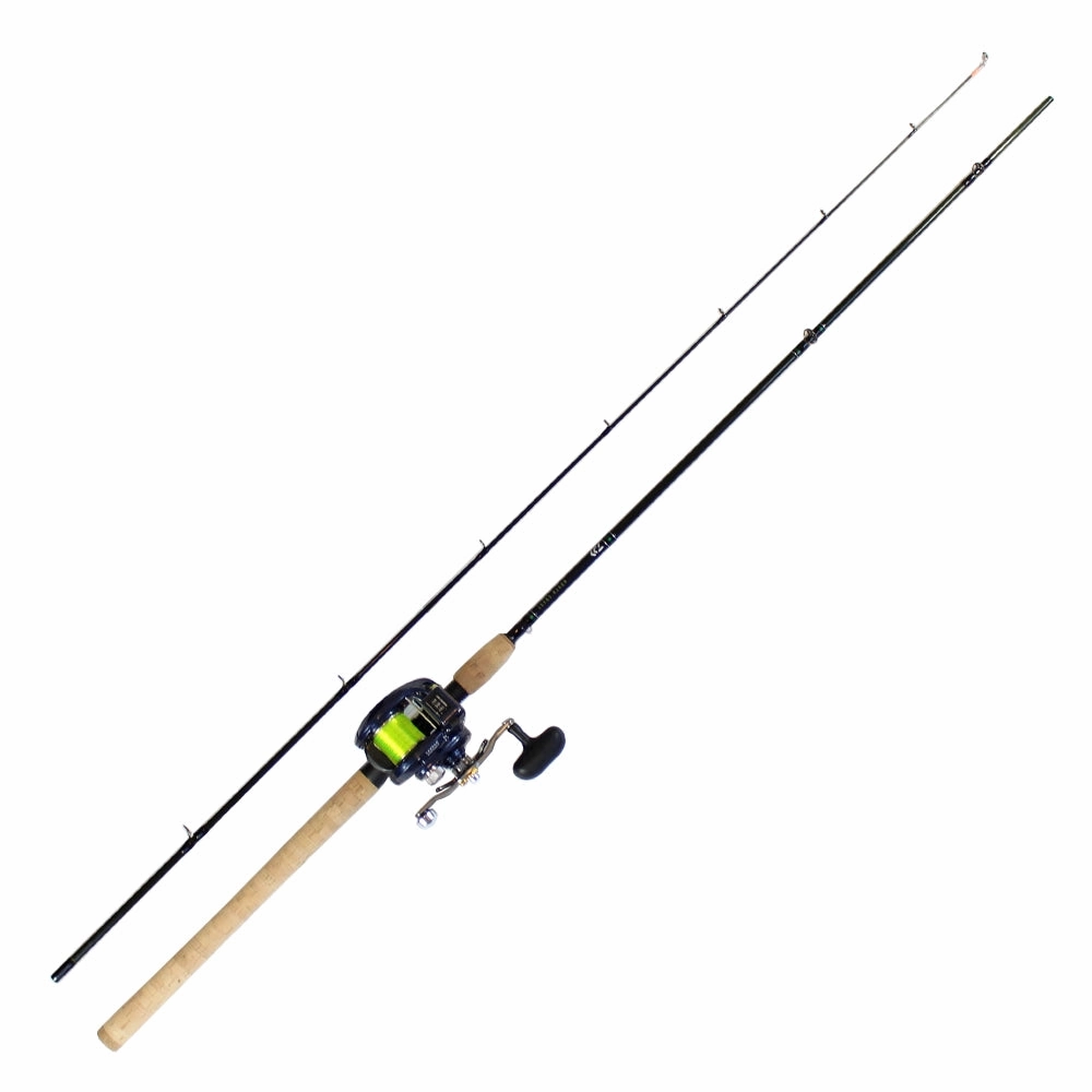 Daiwa Lexa Salmon Mooching Combo