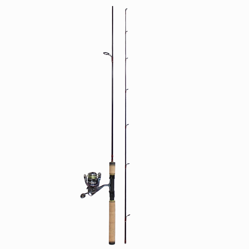 Daiwa Regal Spinmatic Trout Combo