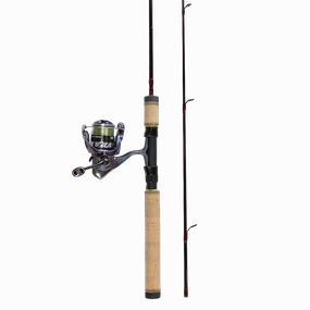 Daiwa Regal Spinmatic Trout Combo