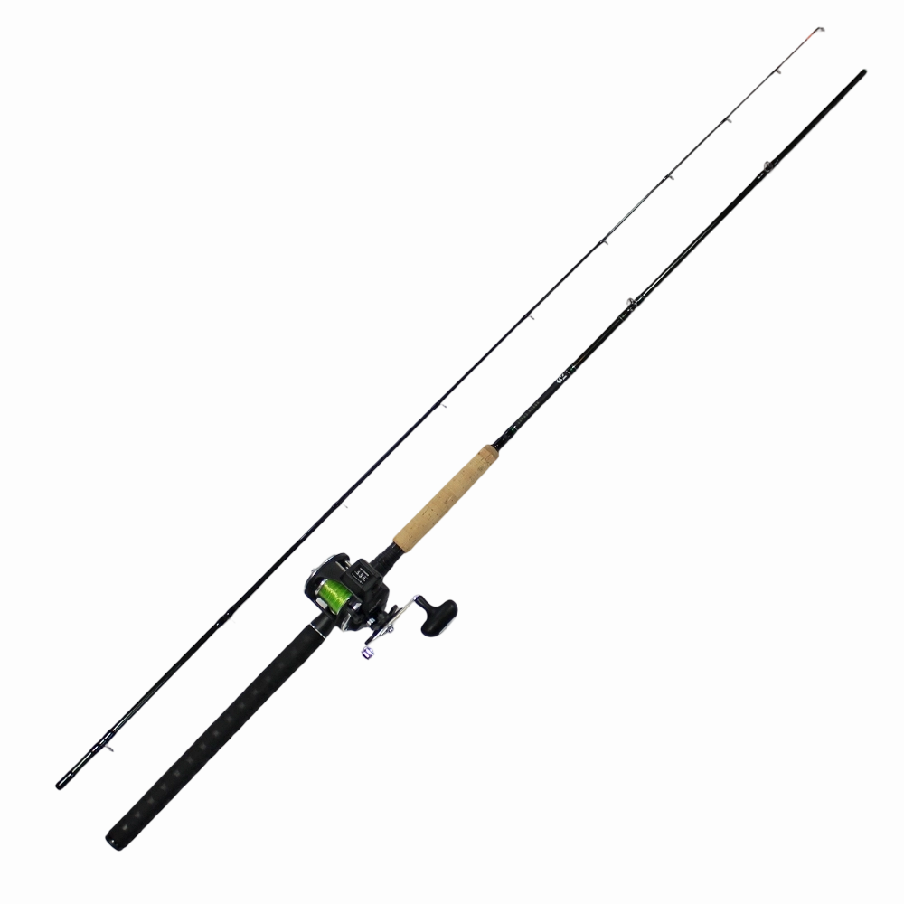 Daiwa Sealine Salmon Downrigger Combo