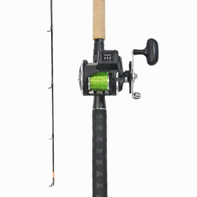 Daiwa Sealine Salmon Downrigger Combo