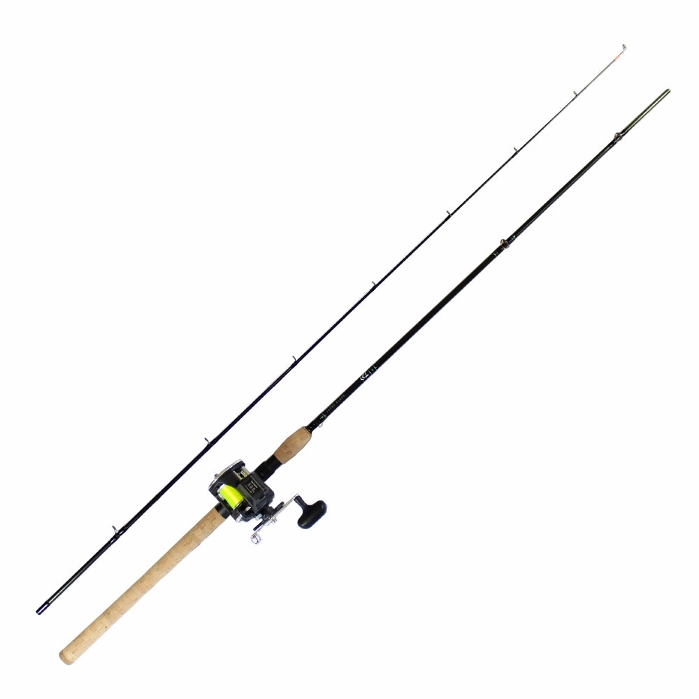 Daiwa Sealine Salmon Mooching Combo