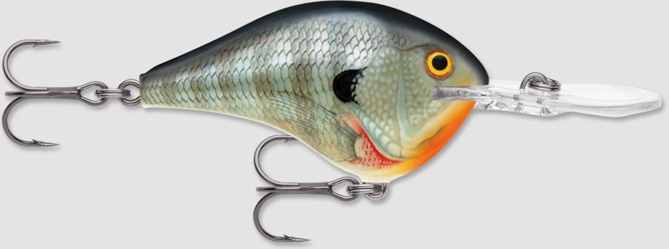 DT (Dives to) Crankbait - (2") - DT06
