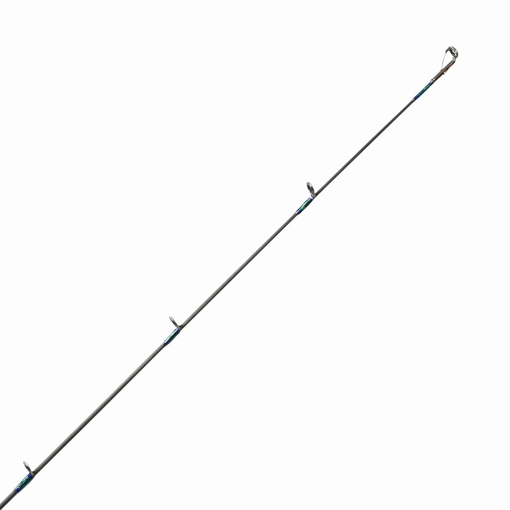 DTR Custom Inshore Rods