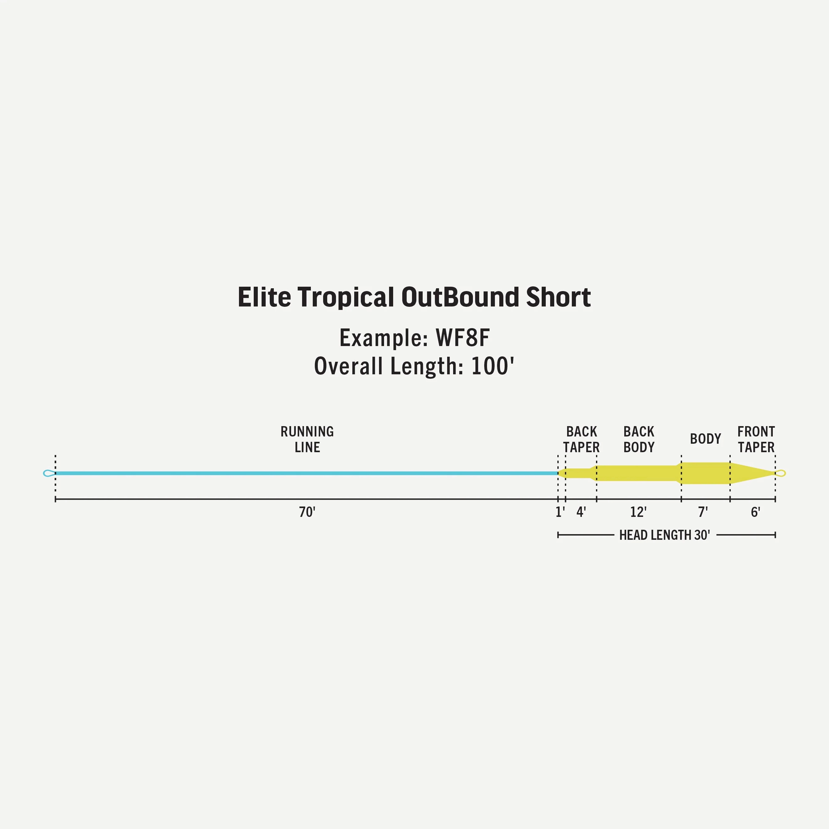 Elite Tropical Outbound Short WF8 - Floating - 8wt