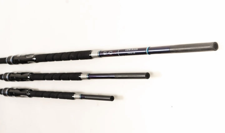 EVO X 10` 2pc Surf Rod - (NXEX-105)