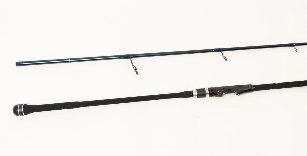 EVO X 10` 2pc Surf Rod - (NXEX-105)