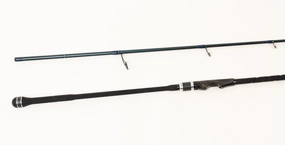 EVO X 9` 2pc Surf Rod - (NXEX-94)
