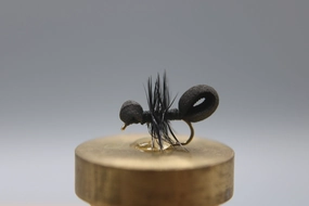 Foam Ant Dry