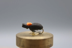 Foam Beetle Dry