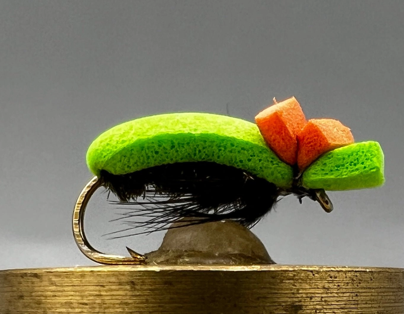 Foam Beetle Dry