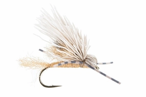 Galloup's Butch Caddis - (#14)