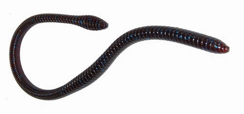 Gambler ER16 16 inch Soft Plastic Worm