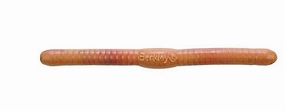 Gulp! Fat Floating Trout Worm