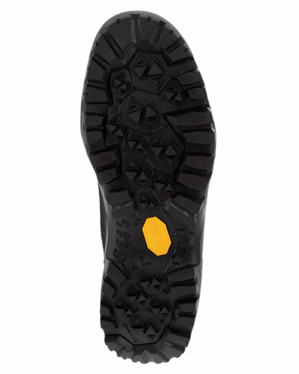 Harkila Driven Hunt 2.0 GTX Boots