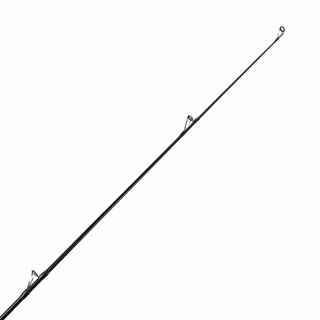 HCS Custom Surf Rods