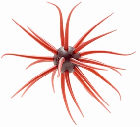 HIDEUP Coike Fullcast 23mm Soft Plastic Creature Bait - 1 Pack
