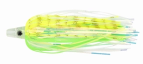 Holographic Teaser