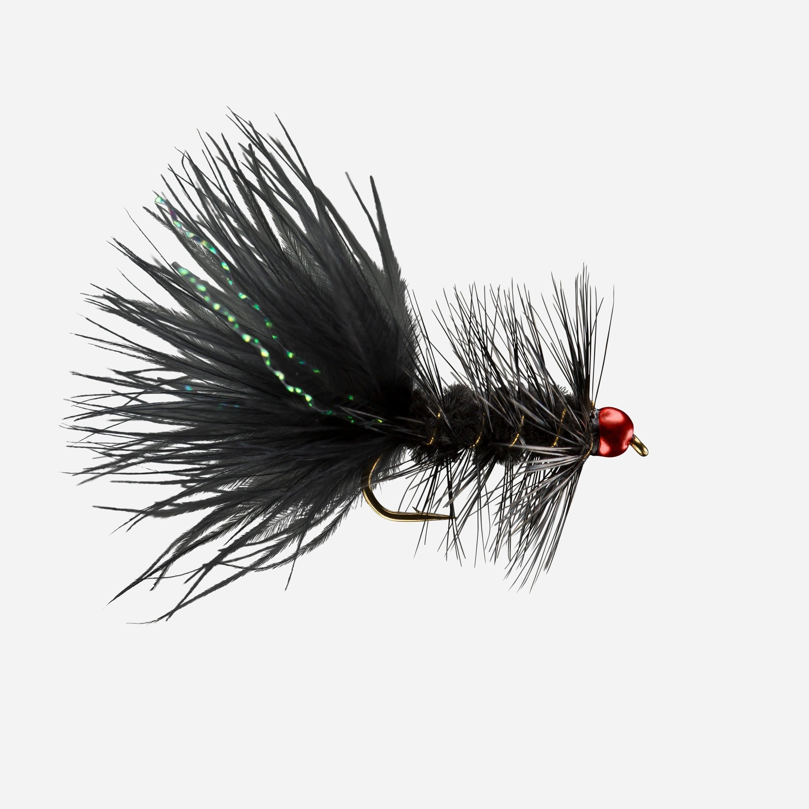 Hot Head Woolly Bugger TB - (#12)