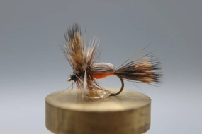 Humpy Dry