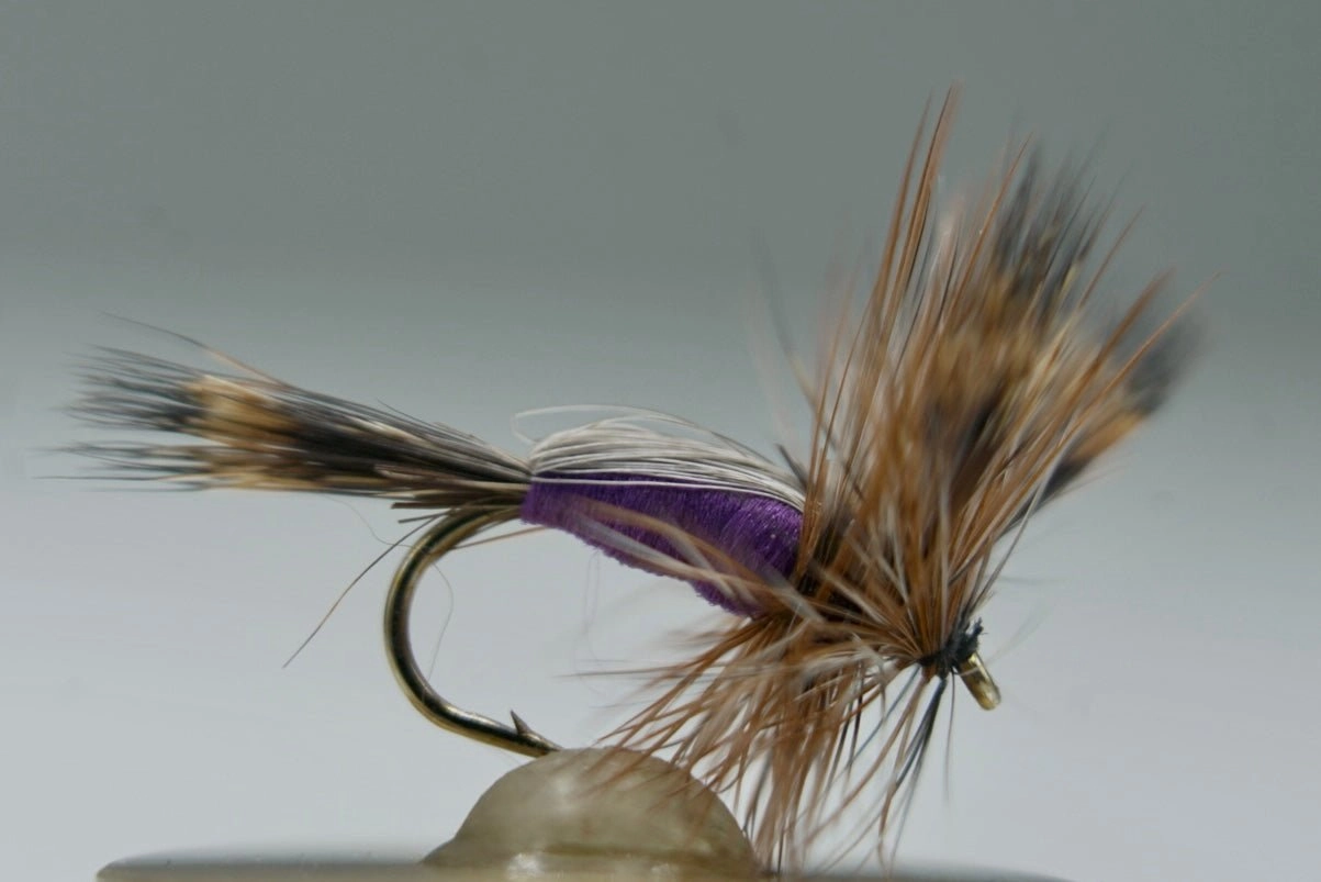 Humpy Dry