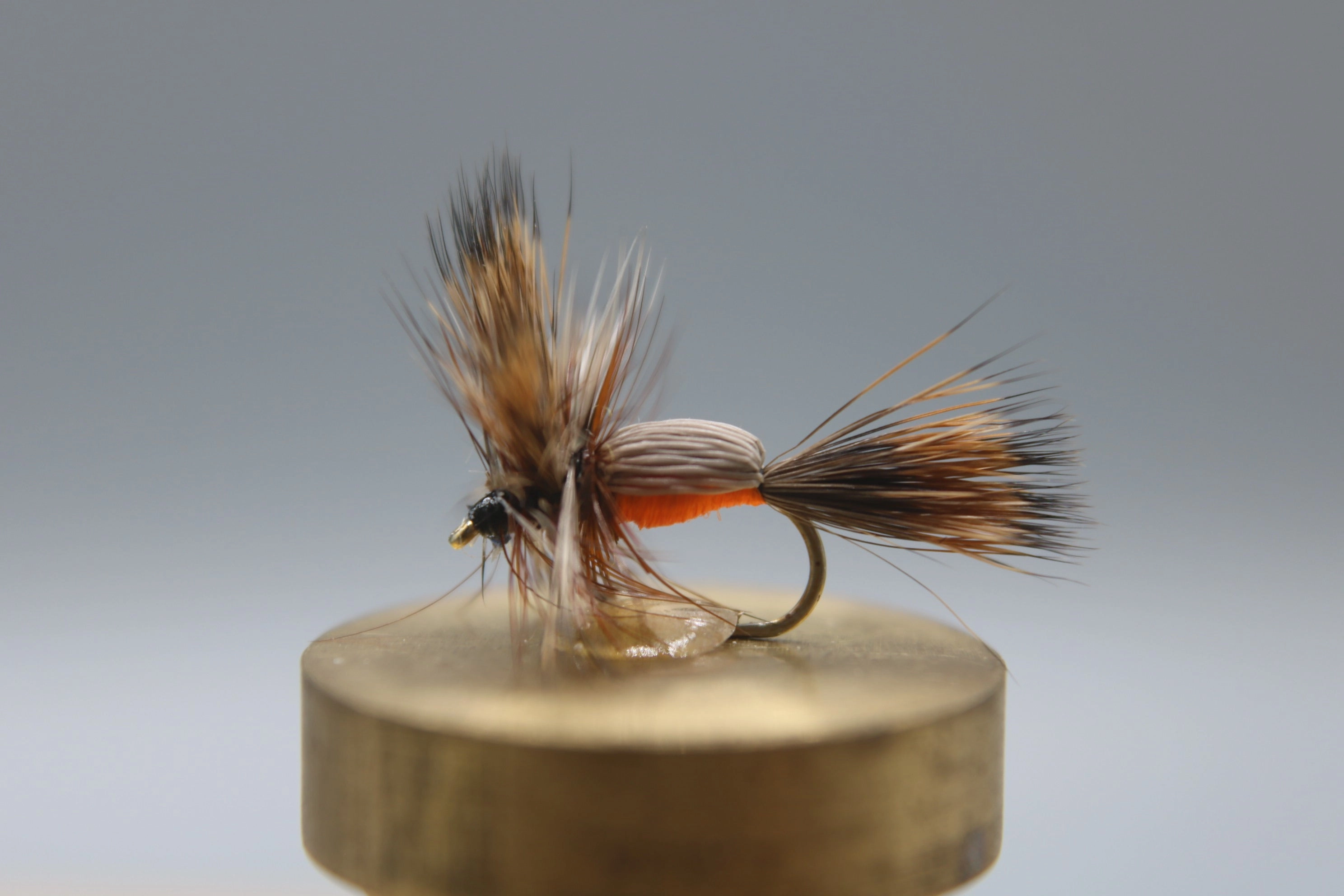 Humpy Dry
