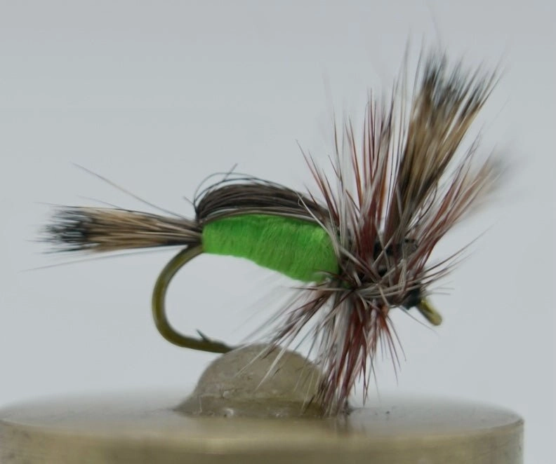 Humpy Dry