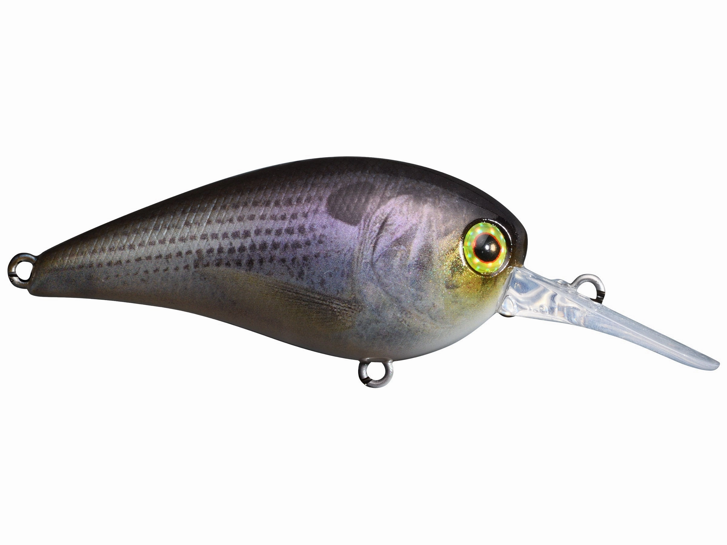 Jackall MC60 MR Medium Diving Crankbait