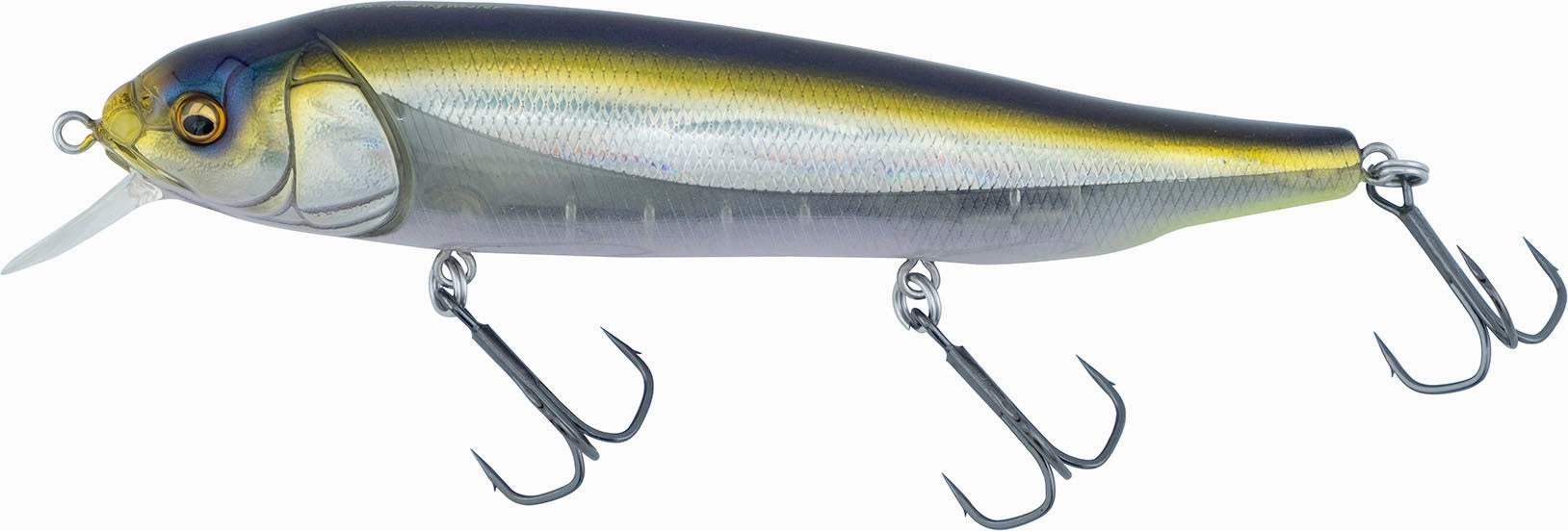 Megabass Respect Series "HT Ito Tennessee Shad" - June 2024 Release