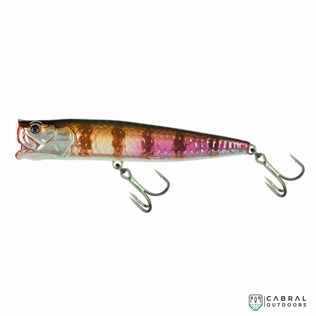 Molix Popper 85T | Size: 8.5cm | 11.5g