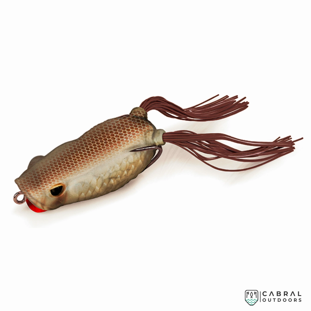 Molix Rattlin' Pop Frog | Size: 6.5cm | 18g