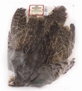 Partridge Skin