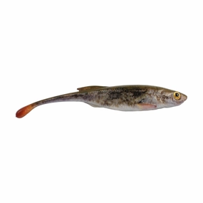 PowerBait Drip Minnow - (4 inch)